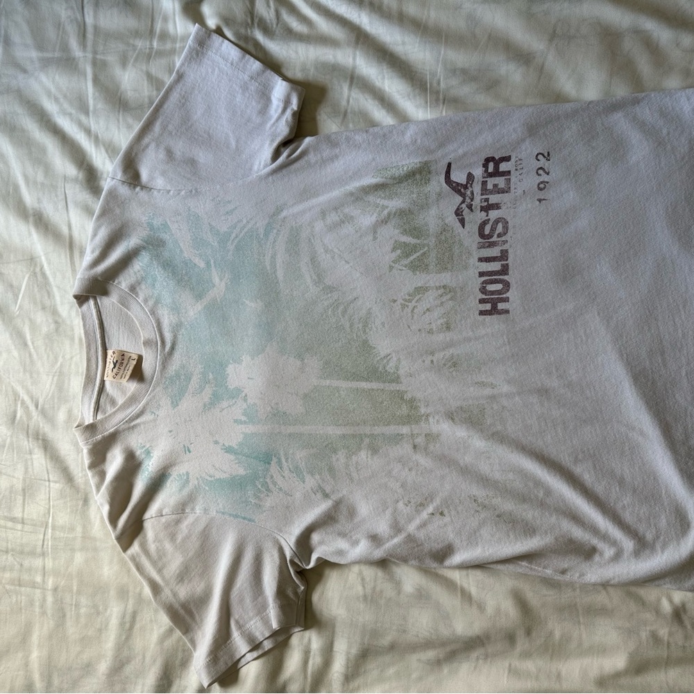 Hollister White and Green Graphic Tee